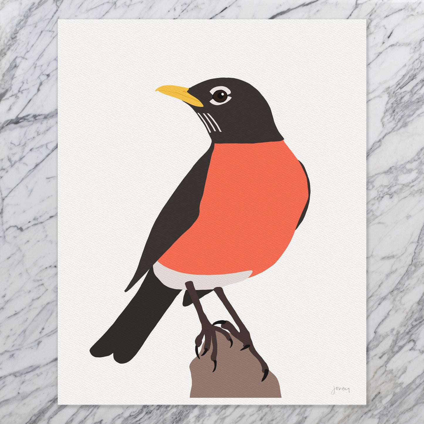 Red Breasted Robin Art Print - Unframed or Framed - 241230