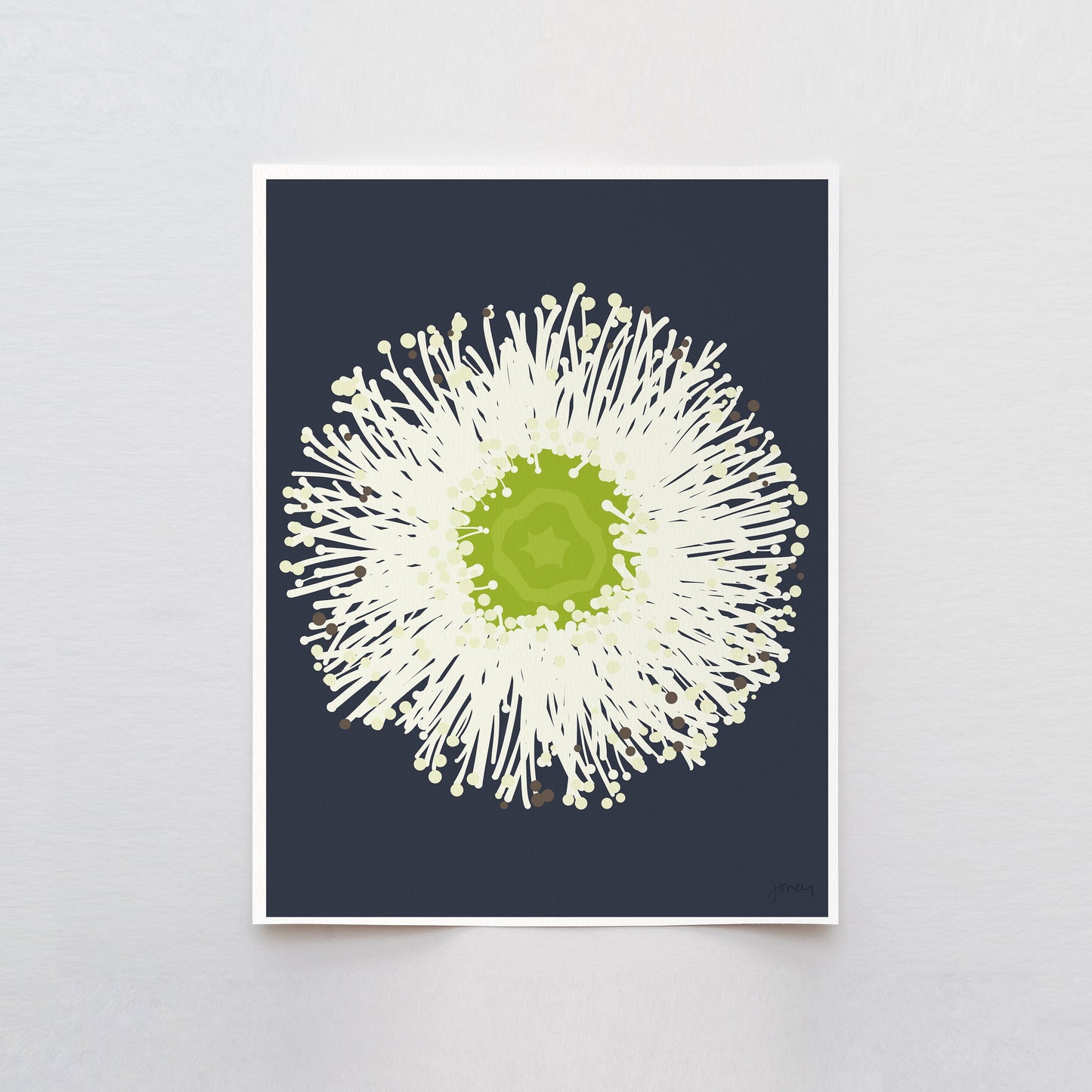 Eucalyptus Flower Art Print - Unframed or Framed - 140430