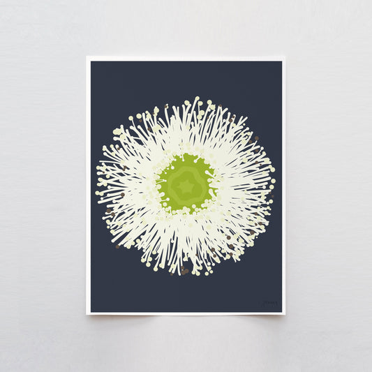 Eucalyptus Flower Art Print - Unframed or Framed - 140430
