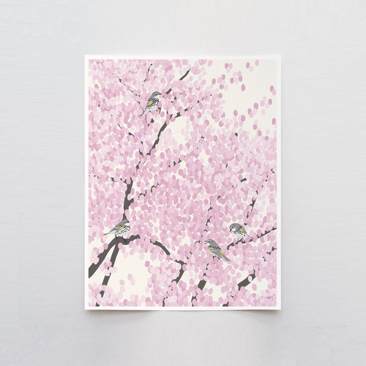 Spring Warblers in Cherry Tree Art Print - Unframed or Framed - 230422