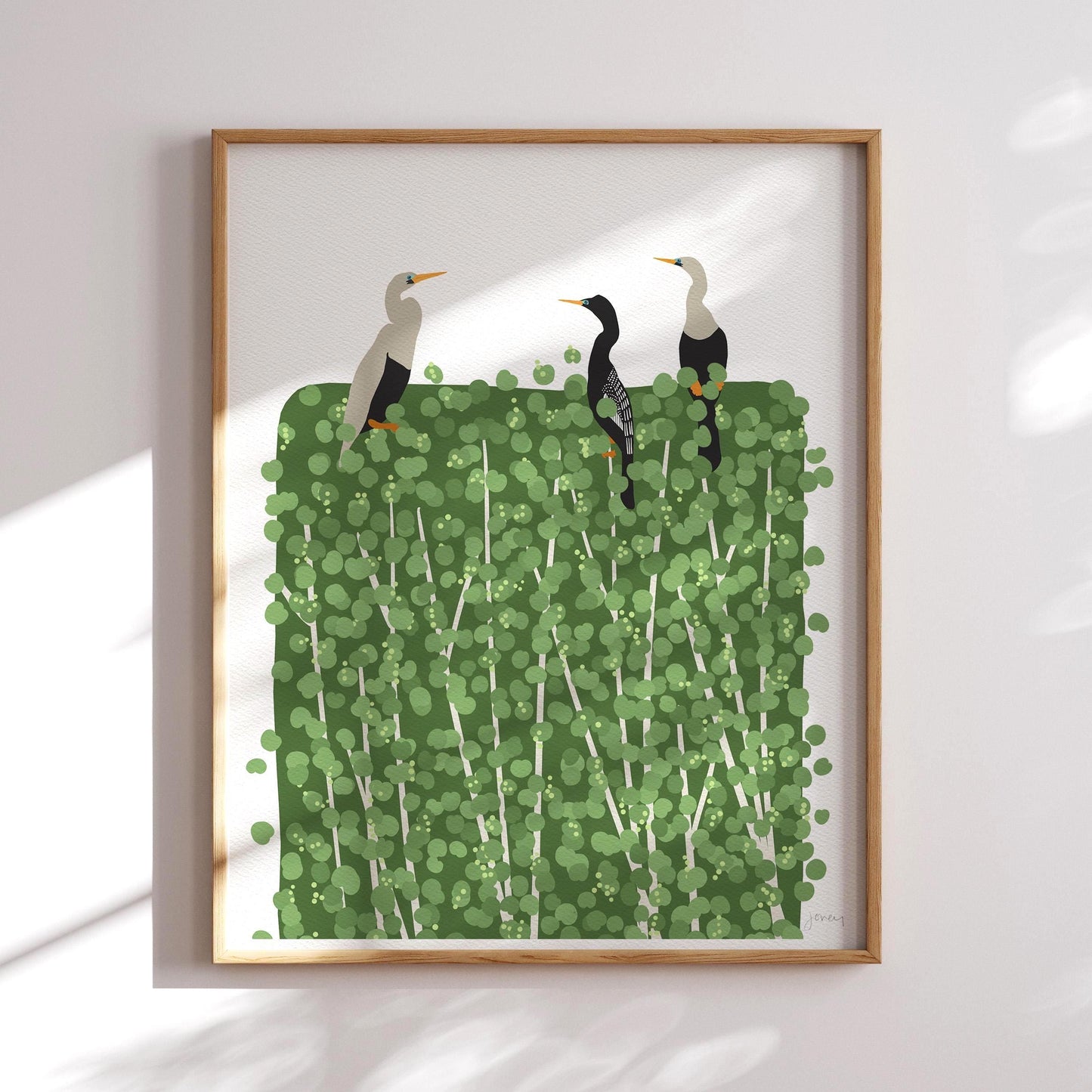 Anhingas Art Print - Unframed or Framed - 250522