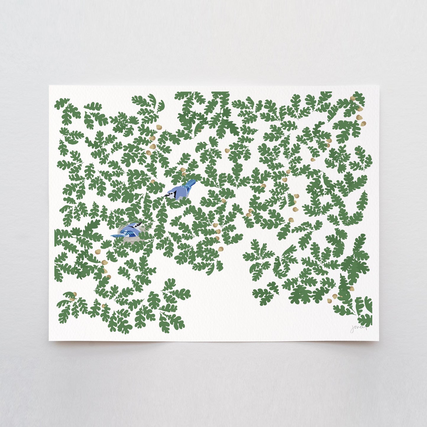 Blue Jays in Oak Leaves Art Print - Unframed or Framed - 240811