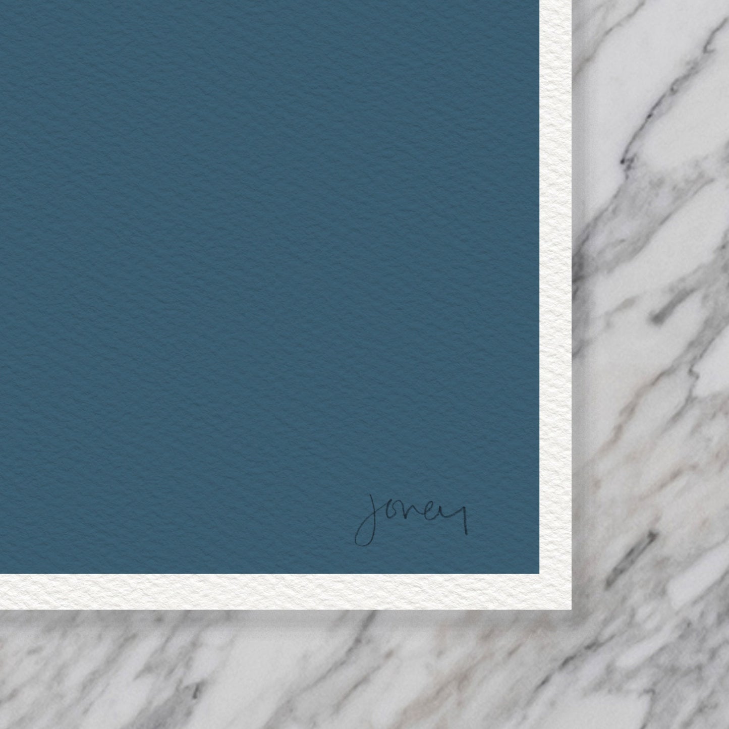 Pacific Walrus Art Print - Unframed or Framed - 170717