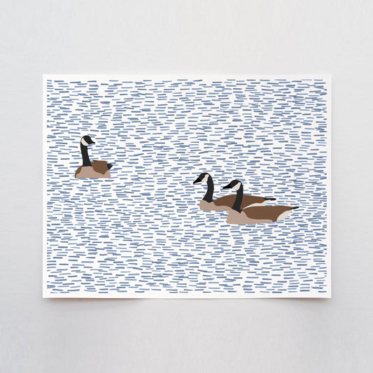 Canada Geese Swimming Art Print - Unframed or Framed - 230924