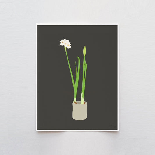 Narcissus Still Life Art Print - Unframed or Framed - 121213