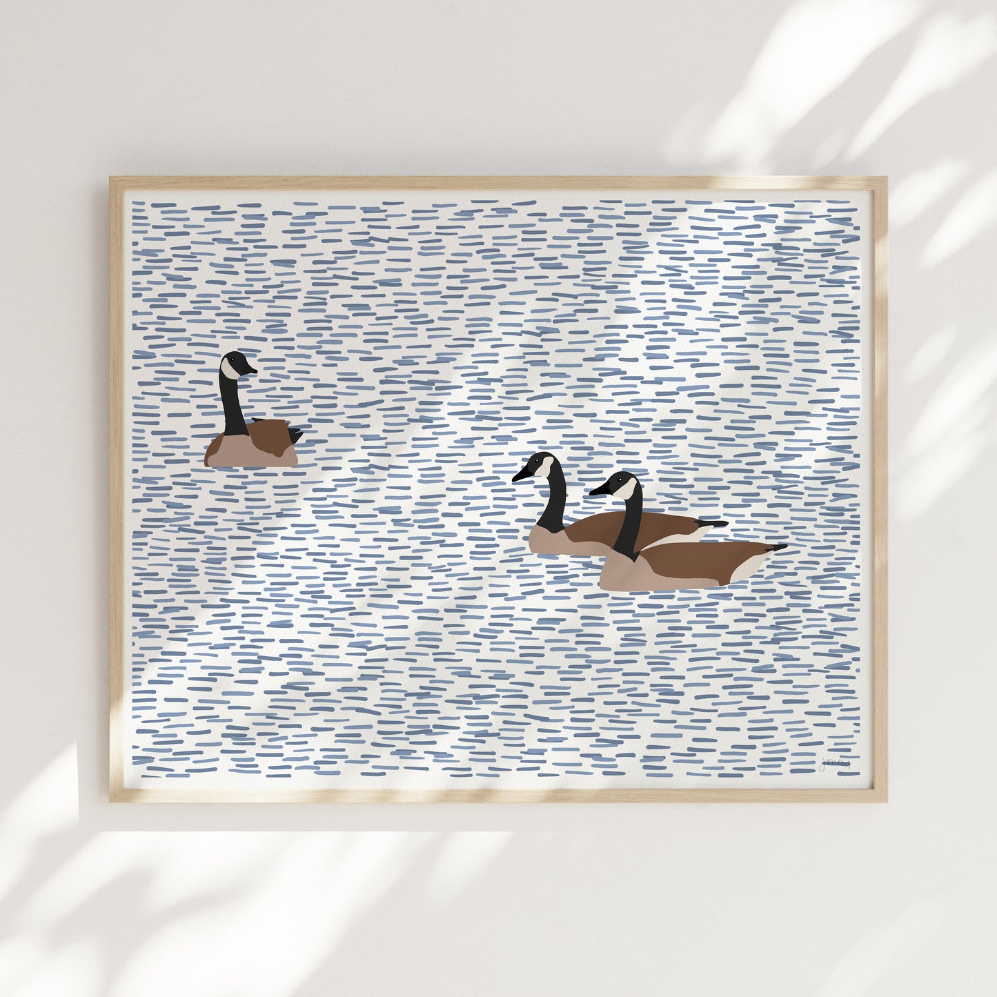 Canada Geese Swimming Art Print - Unframed or Framed - 230924