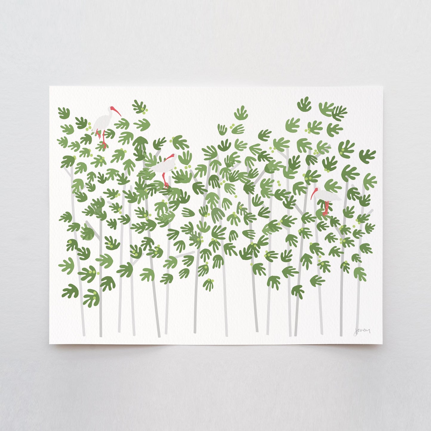 Ibis in Everglades Art Print - Unframed or Framed - 250302