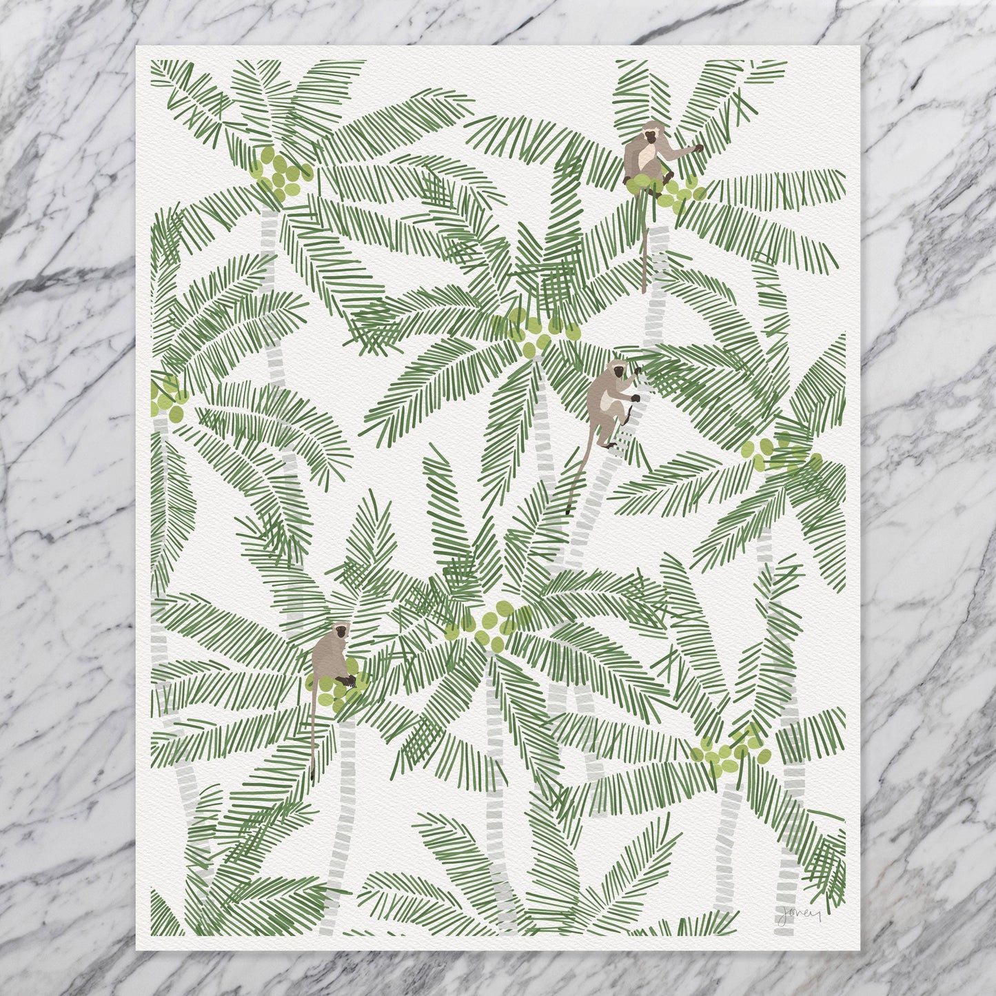 Vervet Monkeys in Palm Trees Art Print - Unframed or Framed - 250316