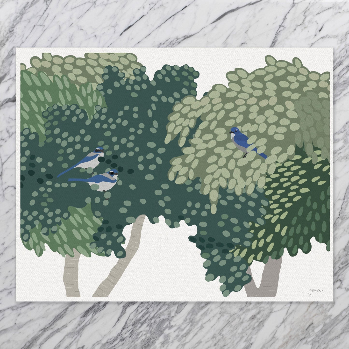 Singing Blue Jays Art Print - Unframed or Framed - 250114