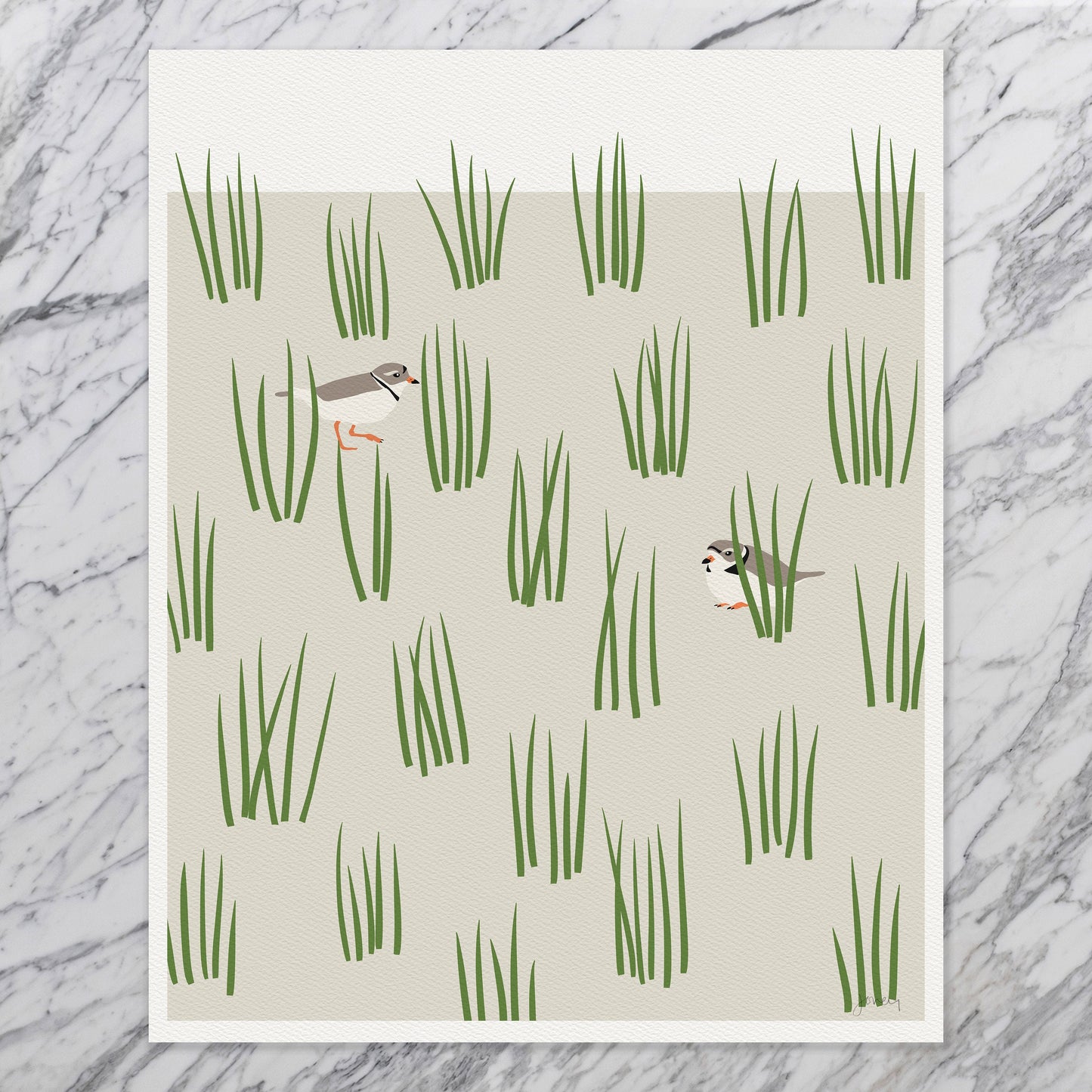 Plovers Art Print - Unframed or Framed - 230617