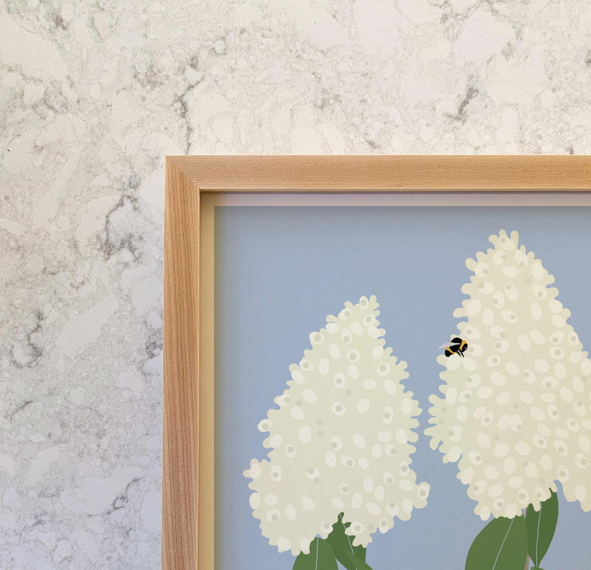 Wren with Limelight Hydrangea, signed art print - 260913