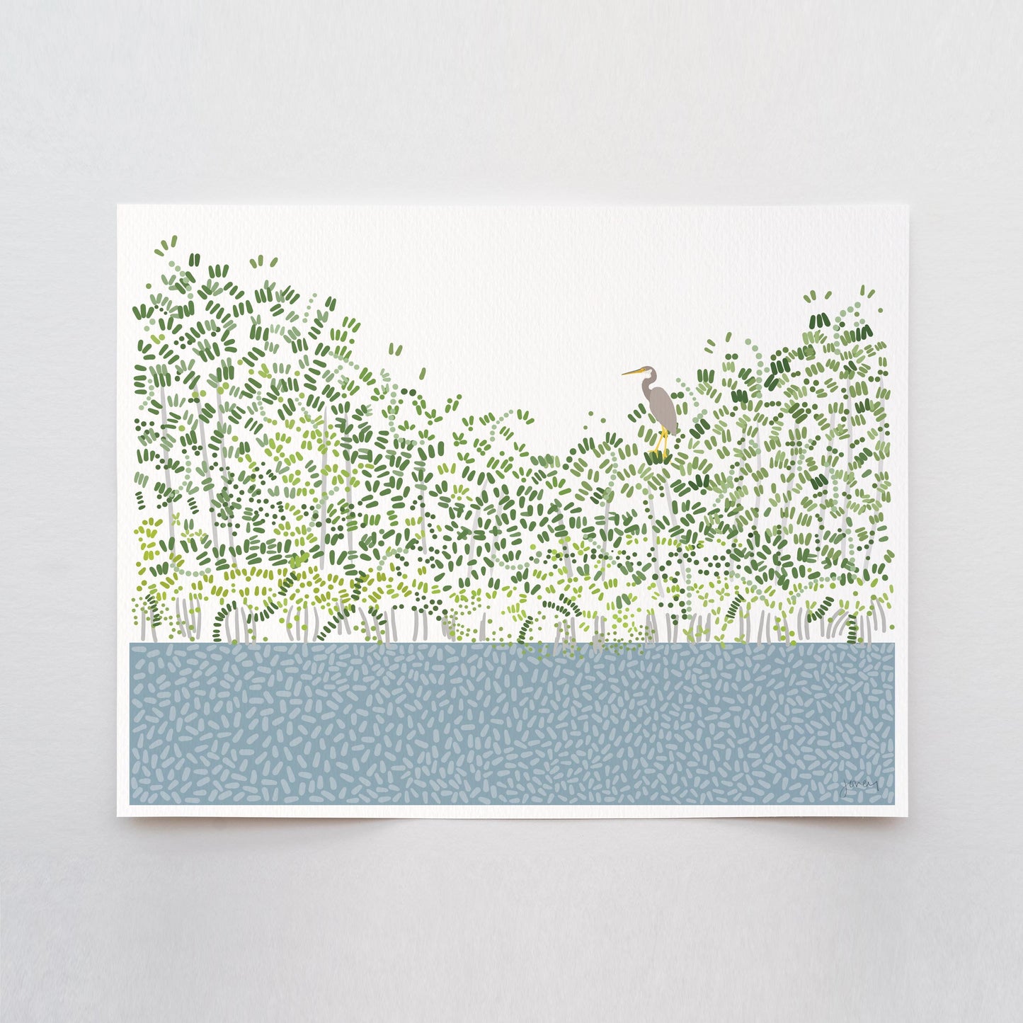 Tricolored Heron in Mangrove Art Print - Unframed or Framed - 241208