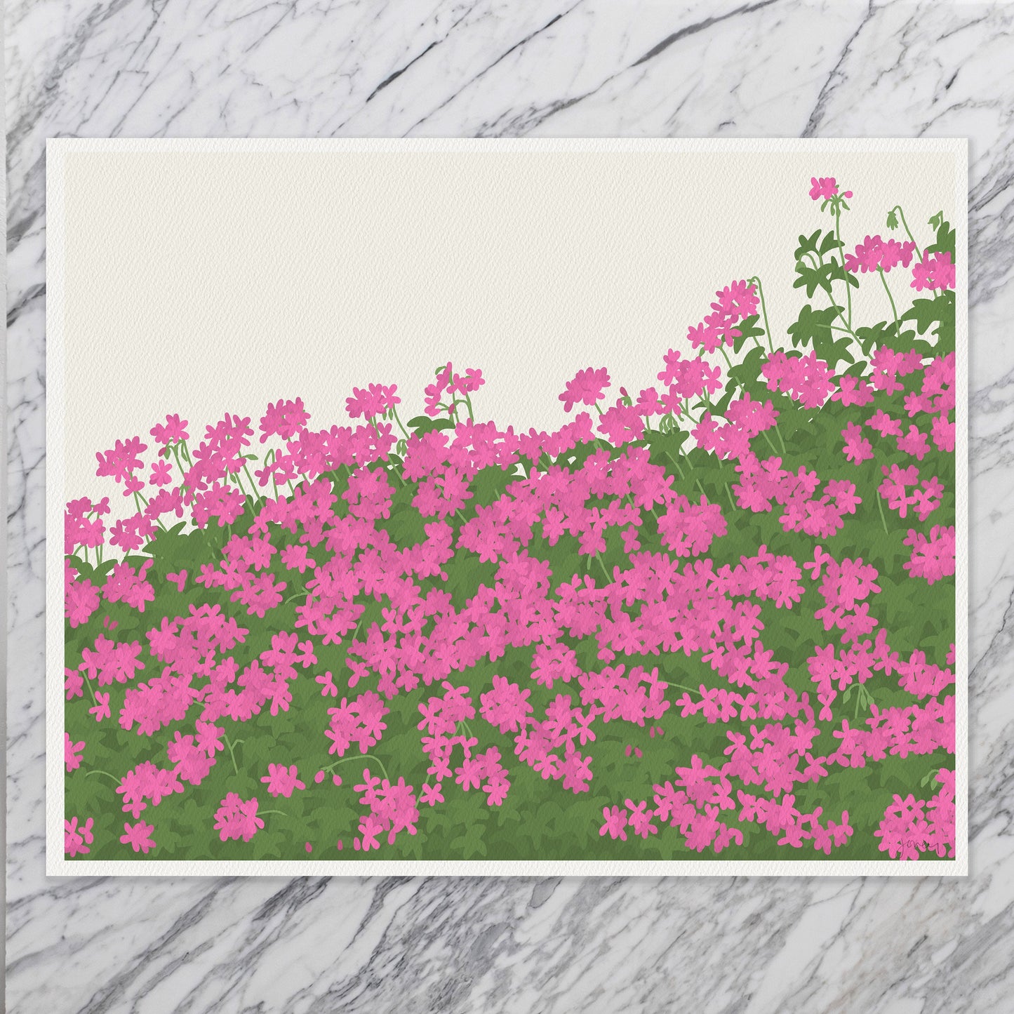 Geraniums Art Print - Unframed or Framed - 160419