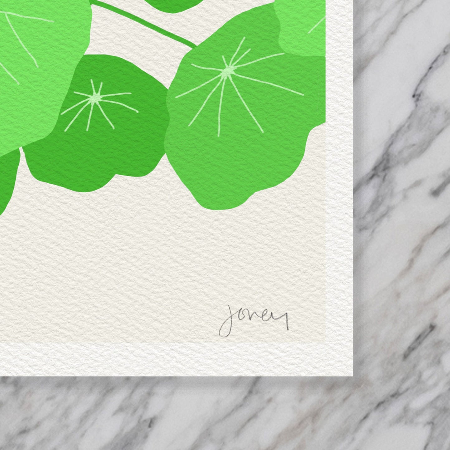 Nasturtium Leaves Art Print - Unframed or Framed - 120131