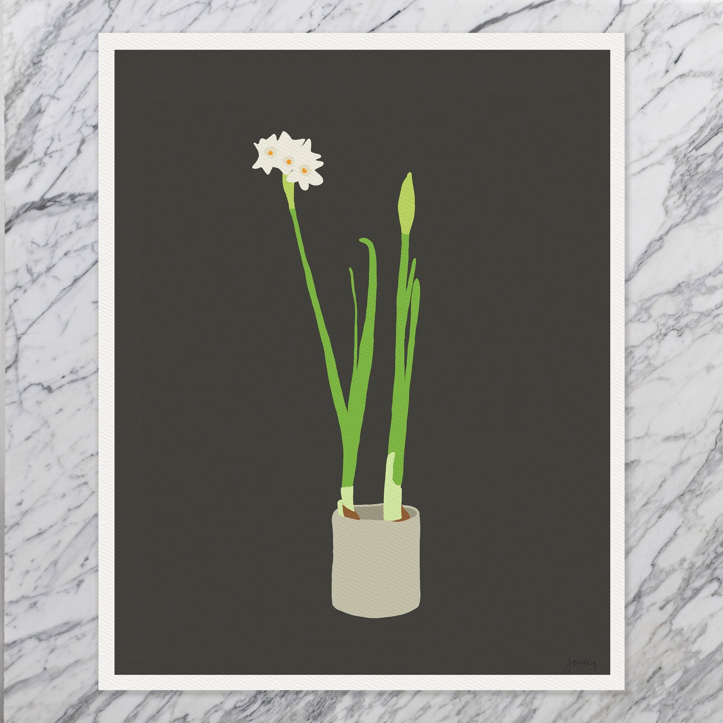 Narcissus Still Life Art Print - Unframed or Framed - 121213