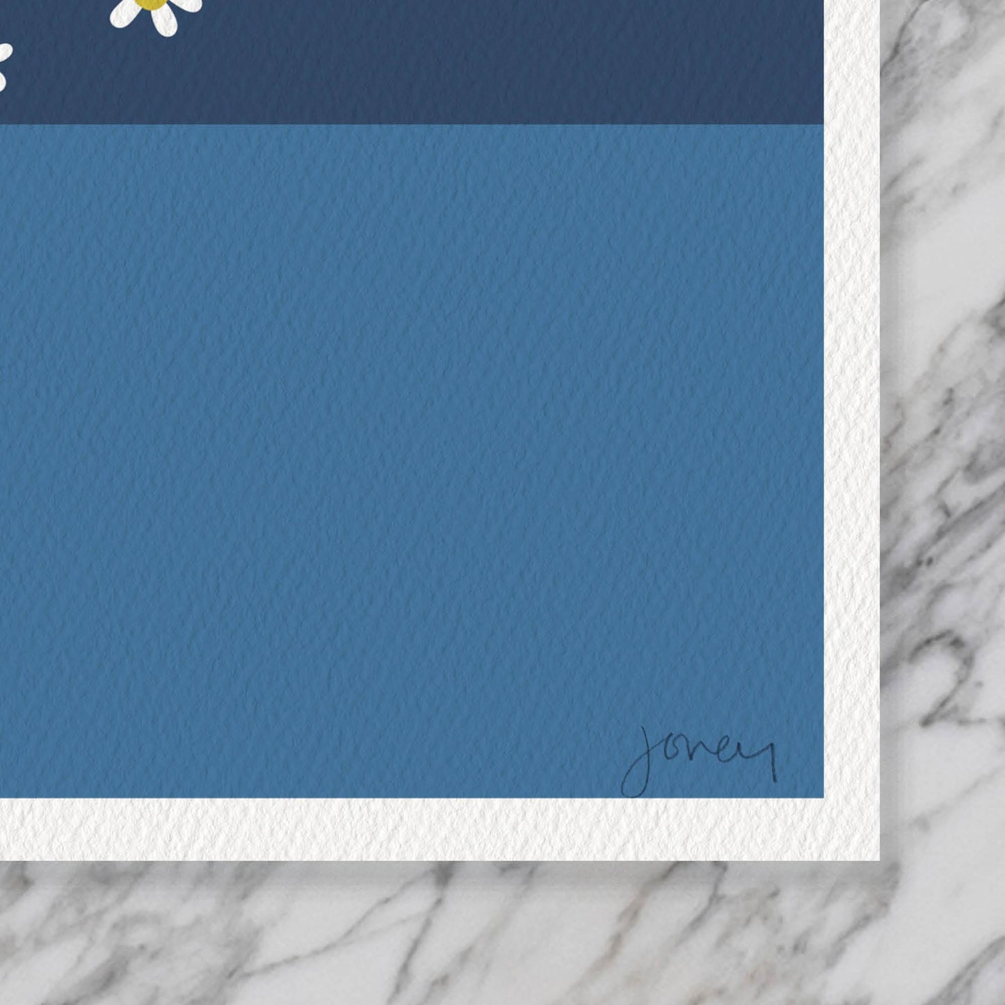 Chamomile Landscape Still Life Art Print - Framed or Unframed - 250305