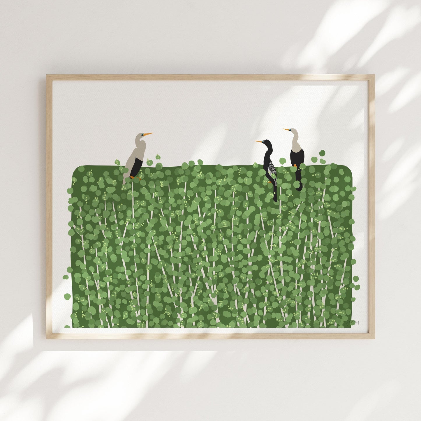 Anhinga Birds Art Print - Unframed or Framed - 250323