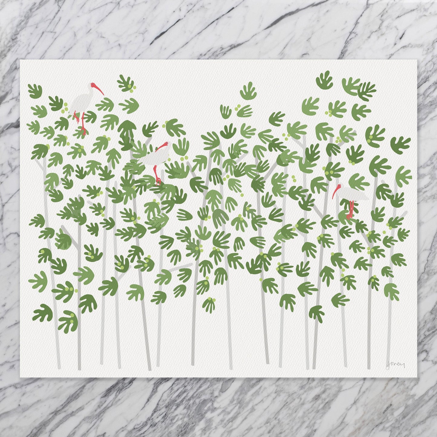 Ibis in Everglades Art Print - Unframed or Framed - 250302