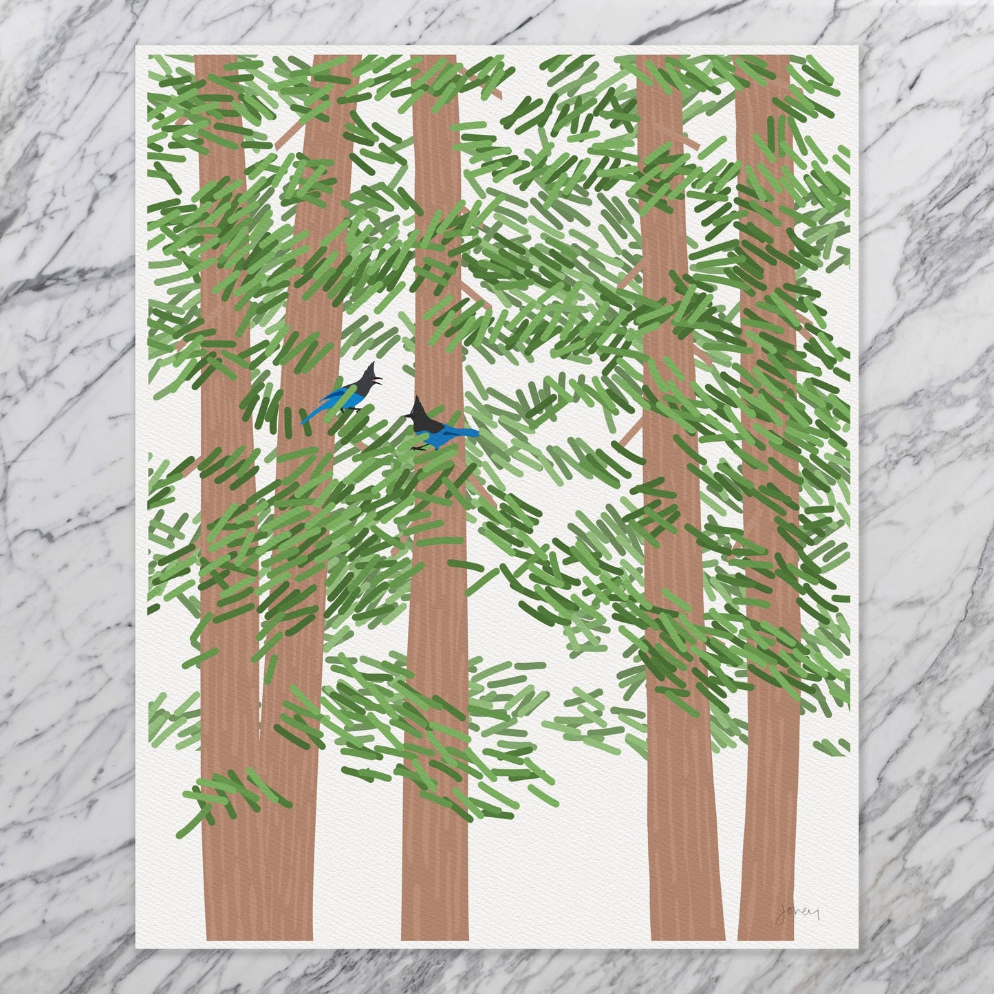Redwood Trees with Steller's Jays - Signed - 260721
