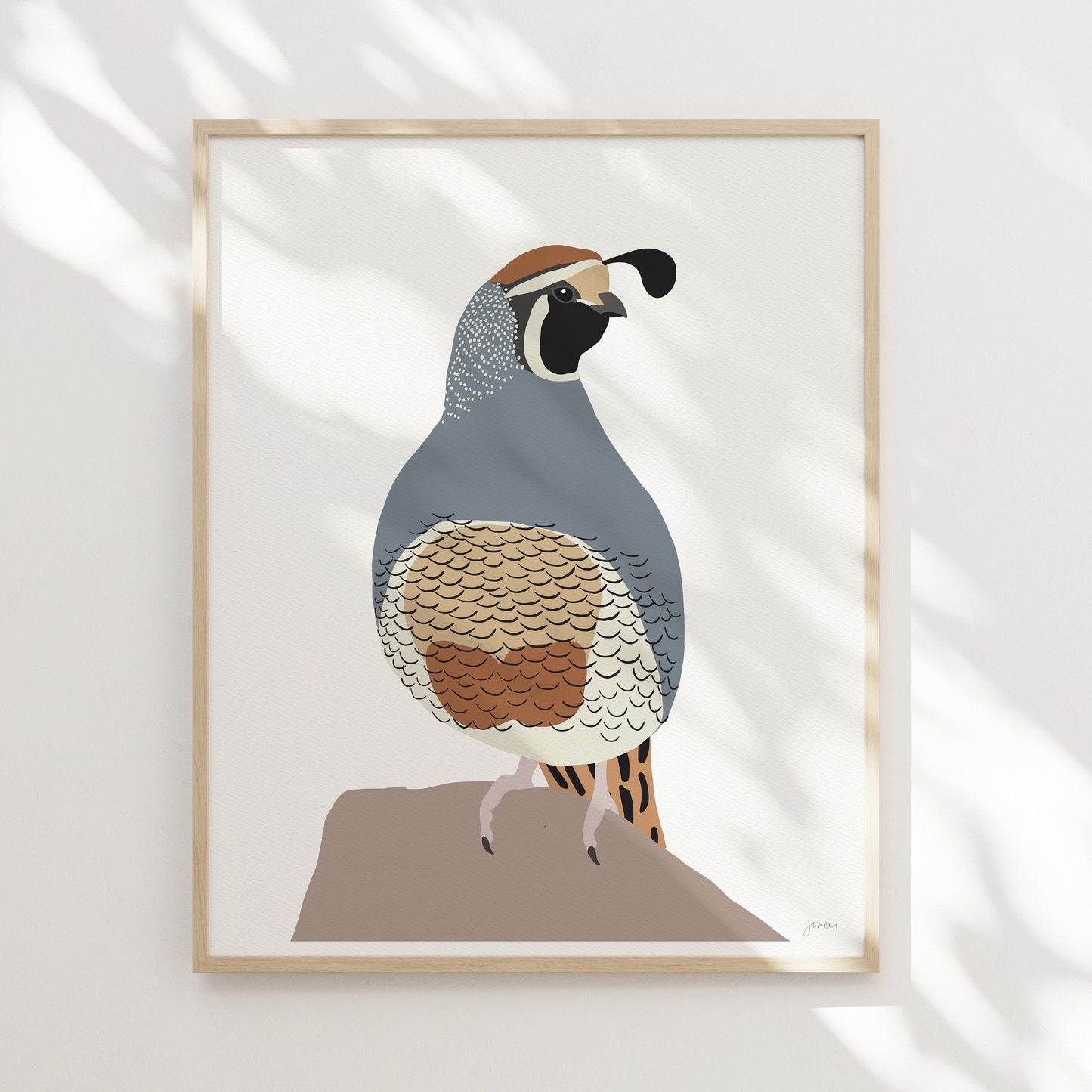 Quail Art Print - Unframed or Framed - 230208