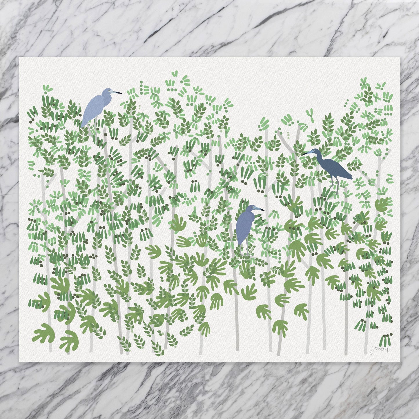 Mangrove with Little Blue Herons Art Print - Unframed or Framed - 250112