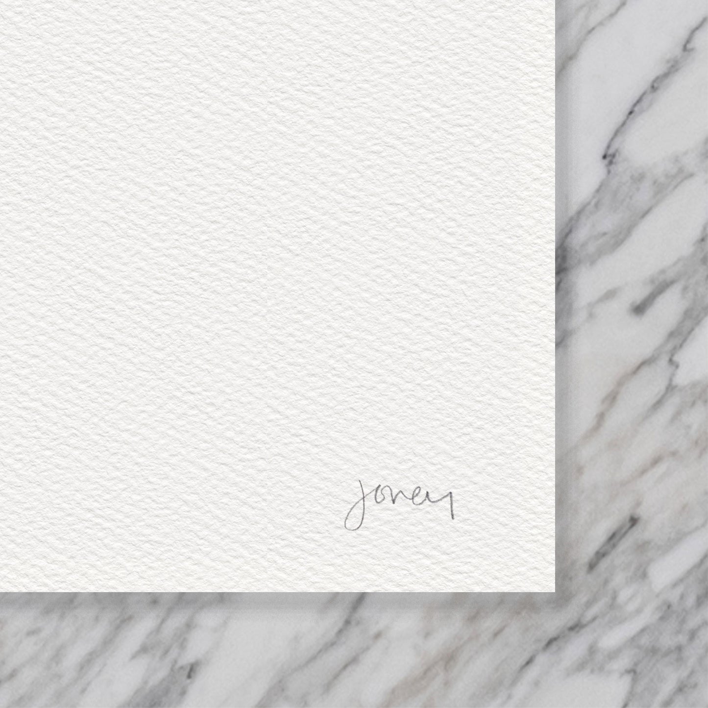 Cormorant Art Print - Unframed or Framed - 250622