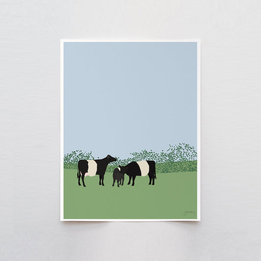 Belted Galloway Cows Art Print - Unframed or Framed - 120913