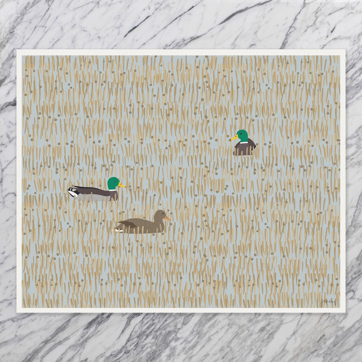 Mallards in Wetlands Art Print - Unframed or Framed - 231126