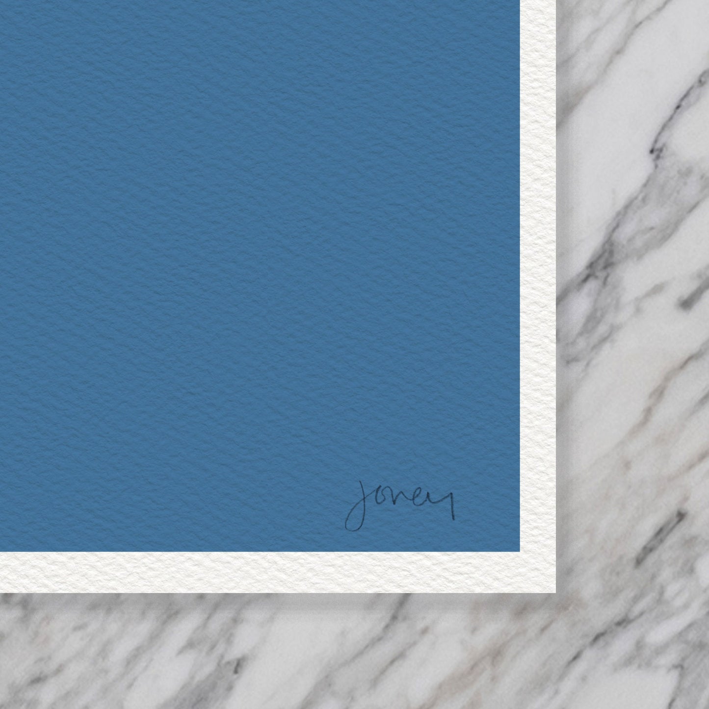 Chamomile Flower Still Life Art Print -  Unframed or Framed - 230304