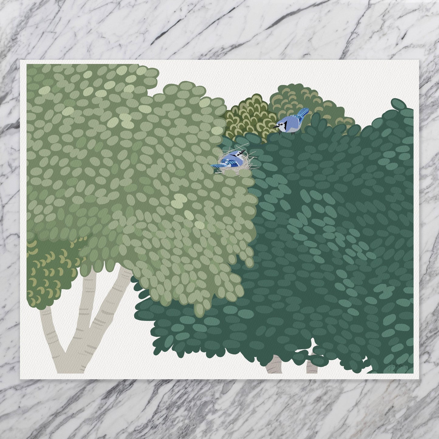 Blue Jays Nesting Art Print - Unframed or Framed - 250108