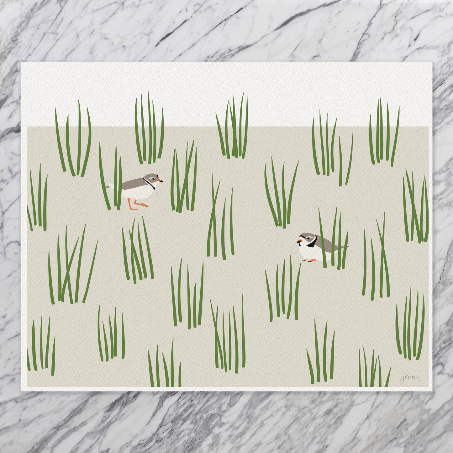 Plovers in Grass Dunes Art Print - Unframed or Framed - 250124