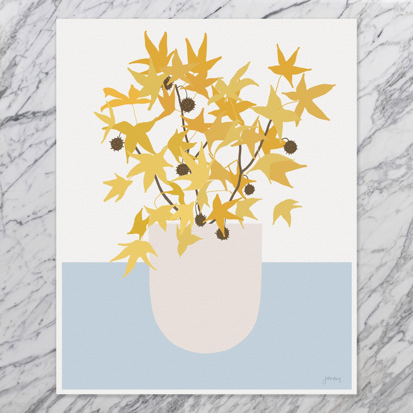 Sweet Gum Pods Abstract Still Life Art Print - Unframed or Framed - 241103