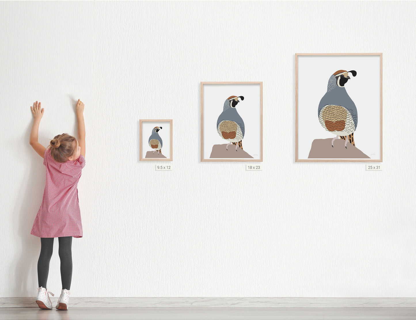 Quail Art Print - Unframed or Framed - 230208