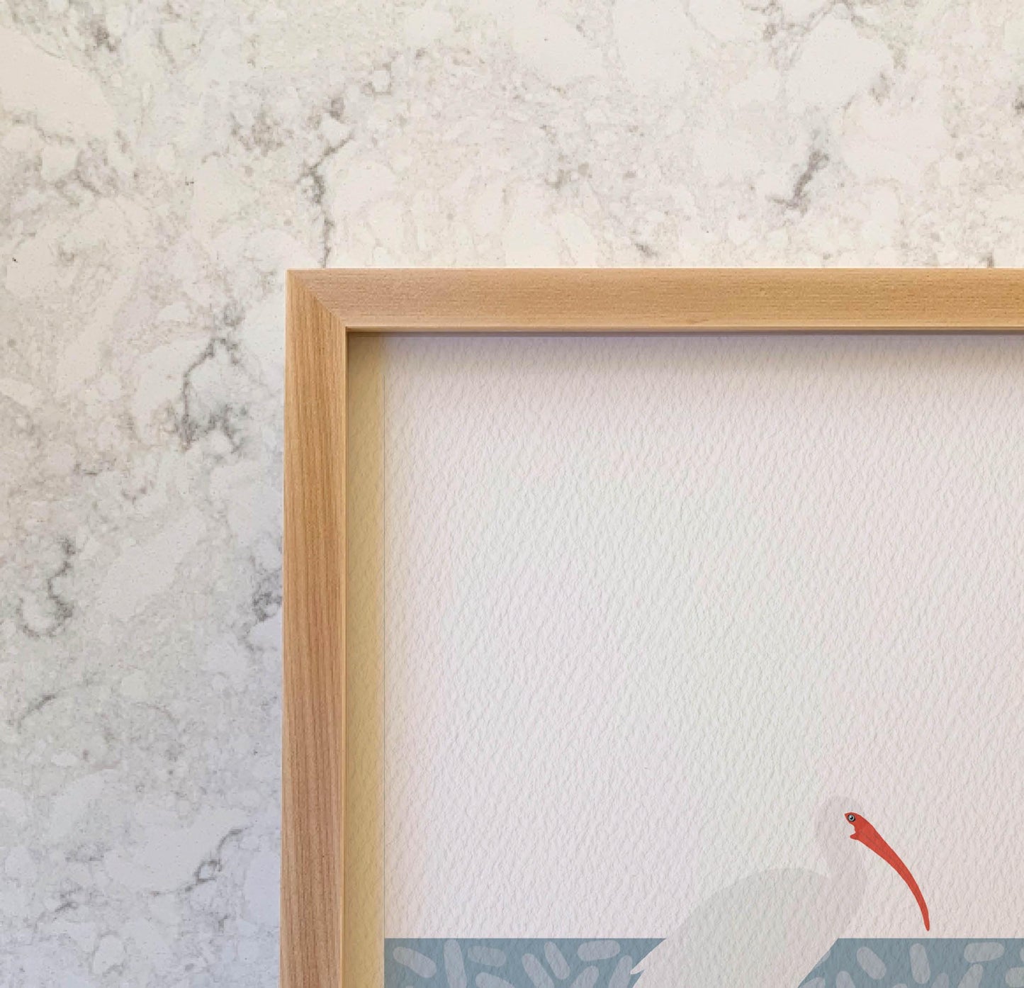 American White Ibis Art Print - Unframed or Framed - 241215