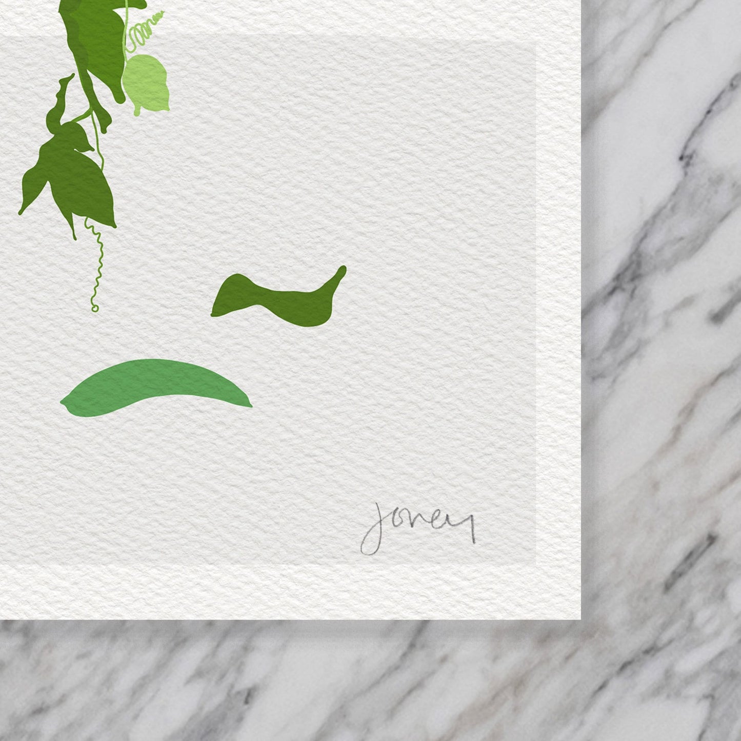 Bay Laurel Still Life Art Print - Unframed or Framed - 200219