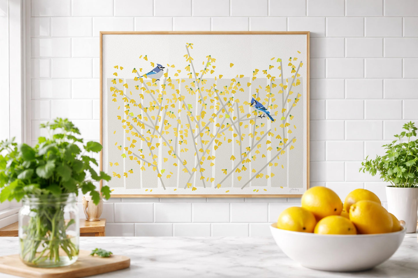 Blue Jays in Yellow Forsythia Art Print – Signed - 260426