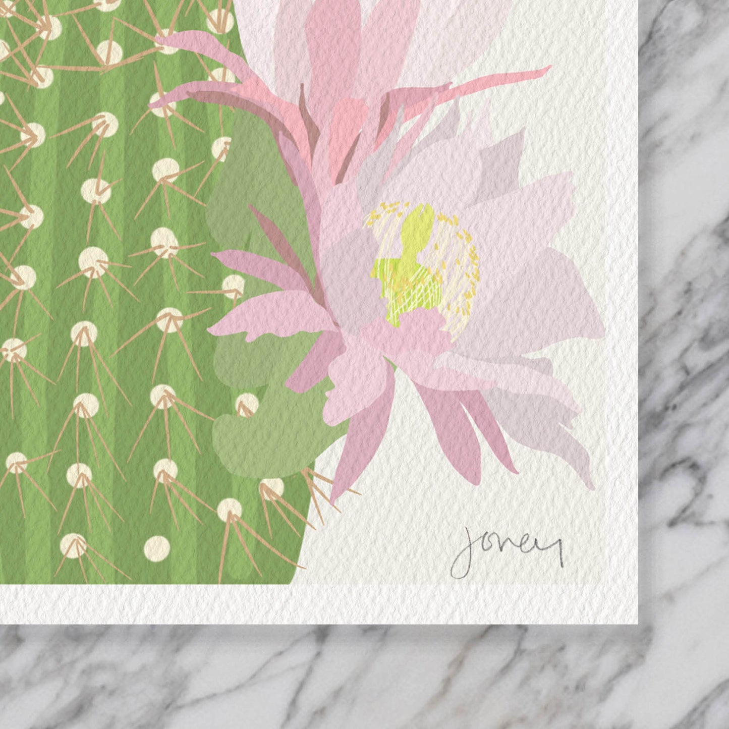 Cactus Flowers Art Print - Unframed or Framed - 211203