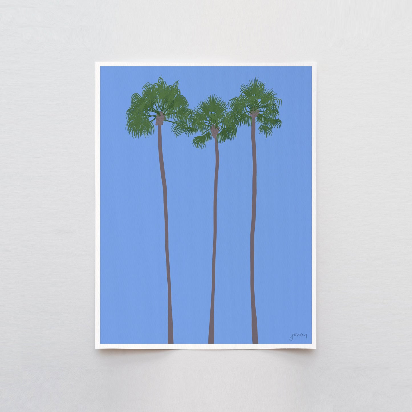 Mexican Fan Palms Trees Art Print - Unframed or Framed - 210906