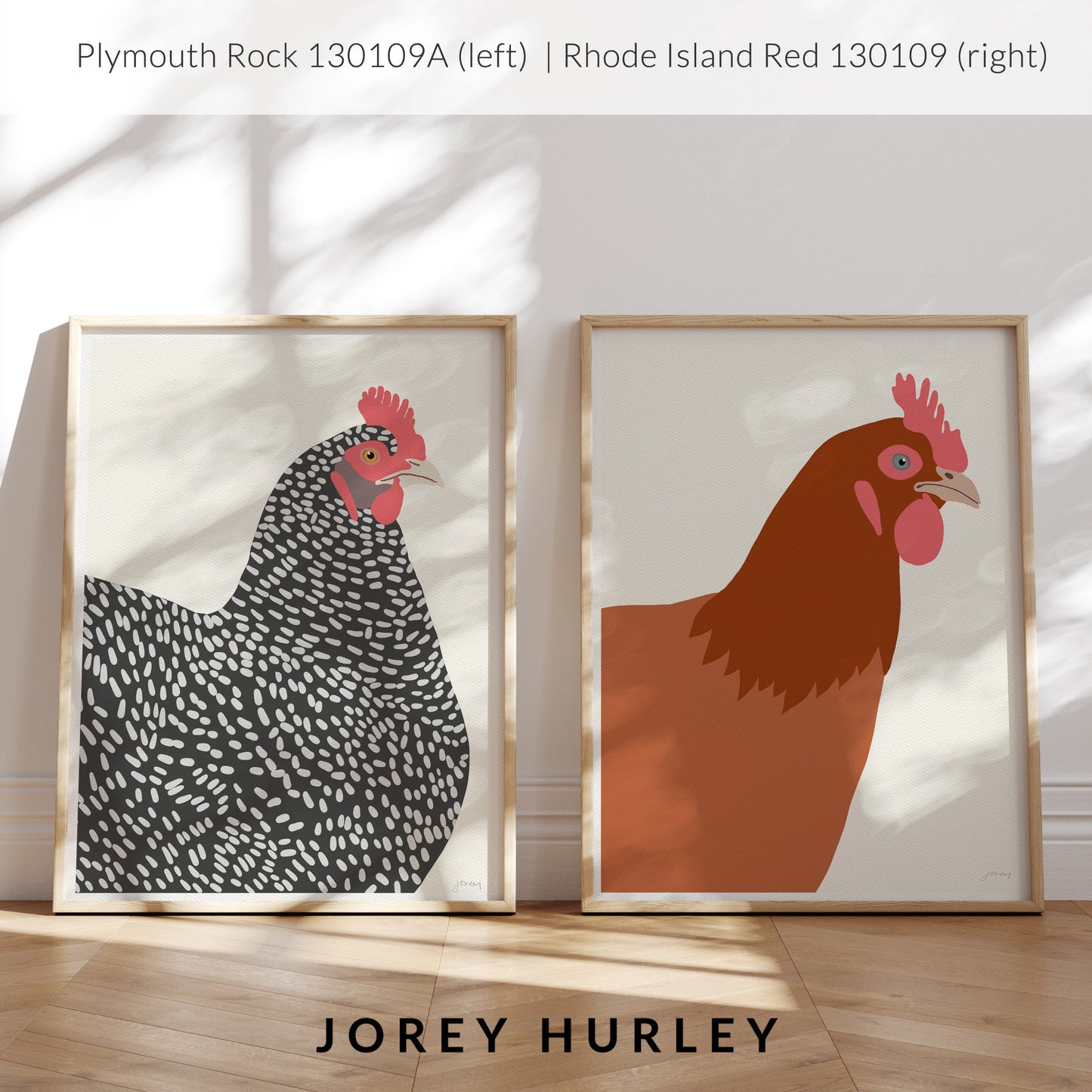 Plymouth Rock Chicken Art Print - Unframed or Framed - 130109A