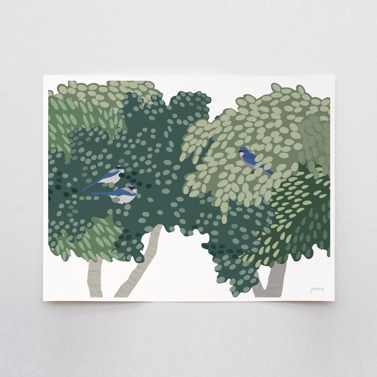 Singing Blue Jays Art Print - Unframed or Framed - 250114