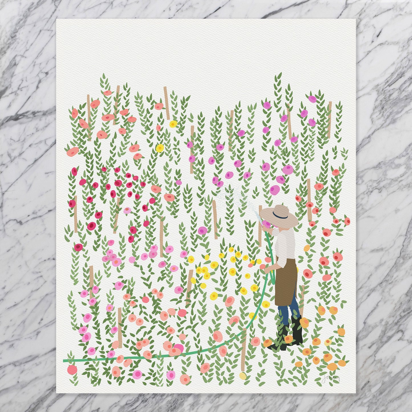 Zinnia Garden Art Print - Unframed or Framed - 230812