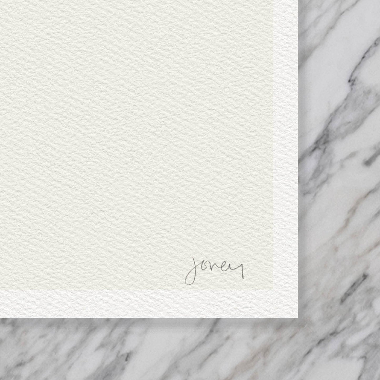 Oxalis Sour Grass Still Life Art Print - Unframed or Framed - 130314