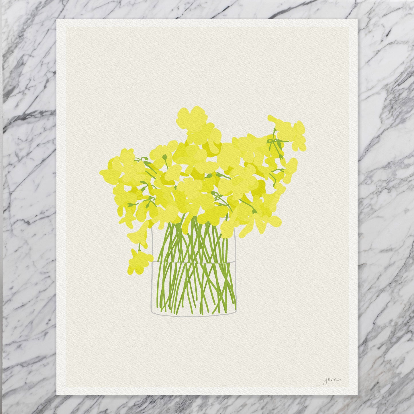 Oxalis Sour Grass Still Life Art Print - Unframed or Framed - 130314