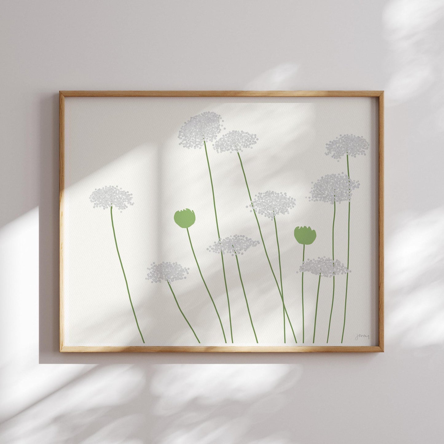 Wild Carrot Queen Anne's Lace Art Print - Framed or Unframed - 150819
