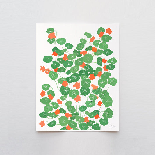 Nasturtium Plant Art Print - Unframed or Framed - 241013
