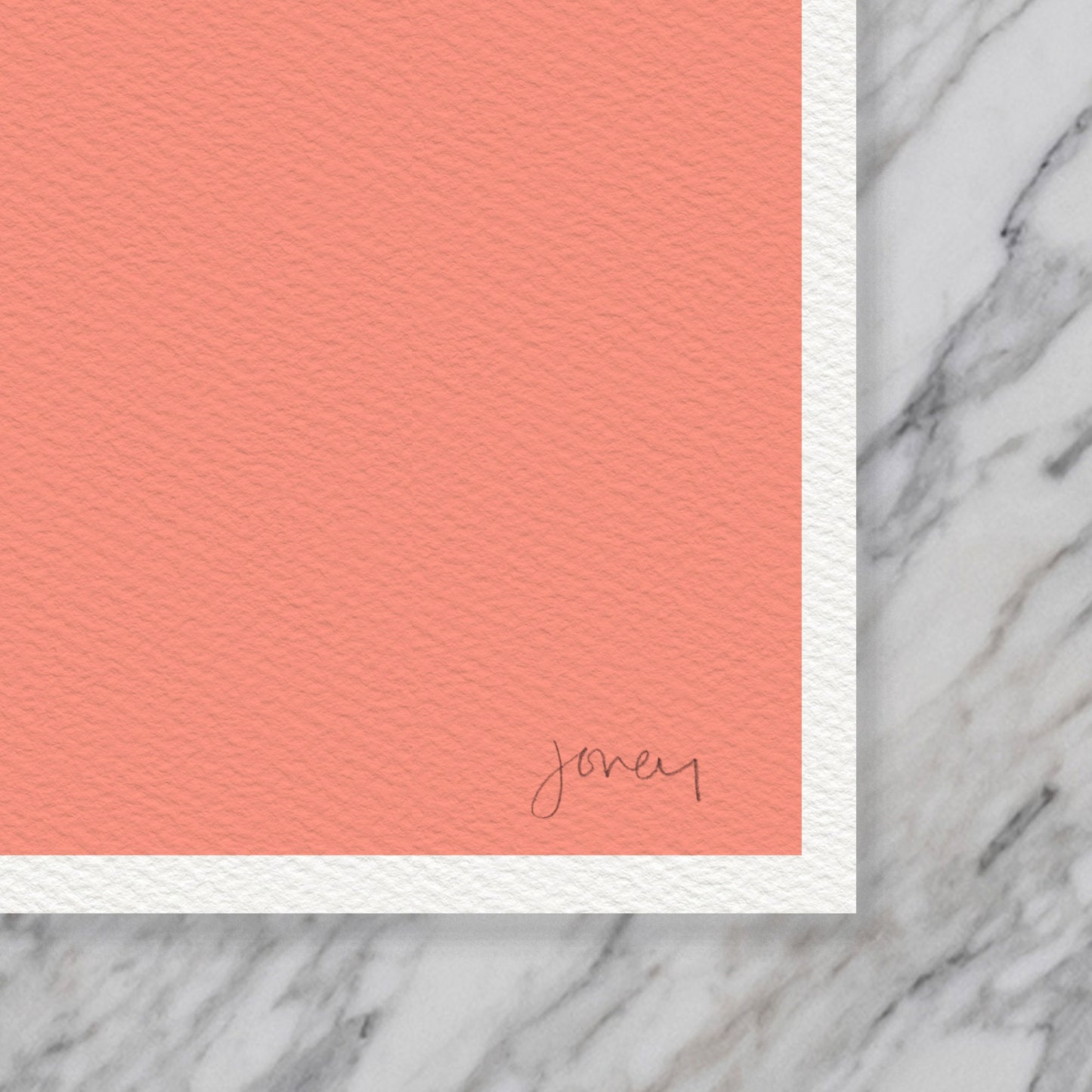 Chrysanthemum Abstract Still Life Art Print - Unframed or Framed - 220213