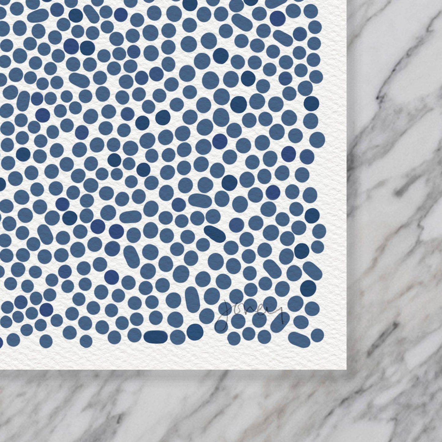 Harbor Seal Art Print - Unframed or Framed - 240121