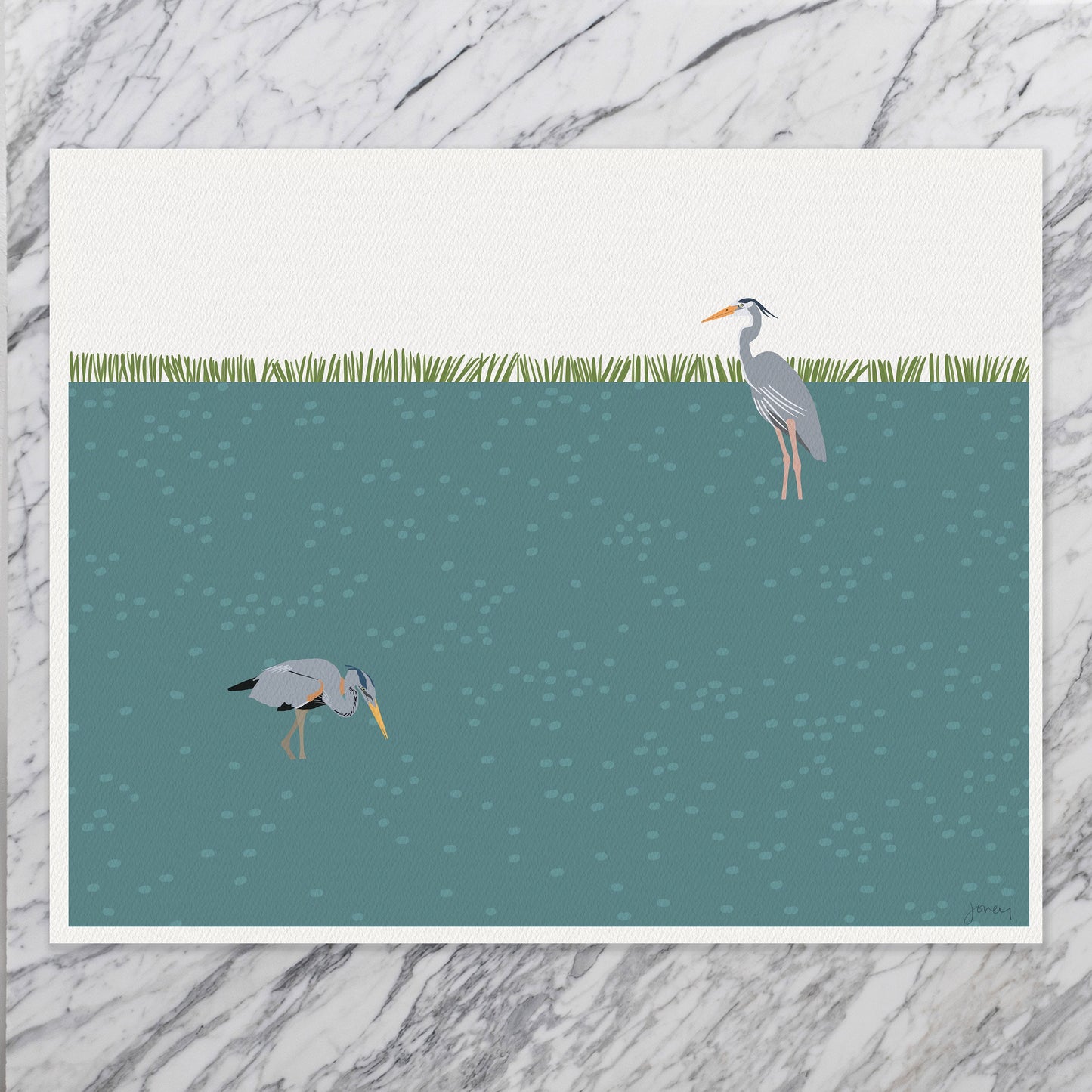 Pair of Great Blue Herons Art Print - Unframed or Framed - 211010