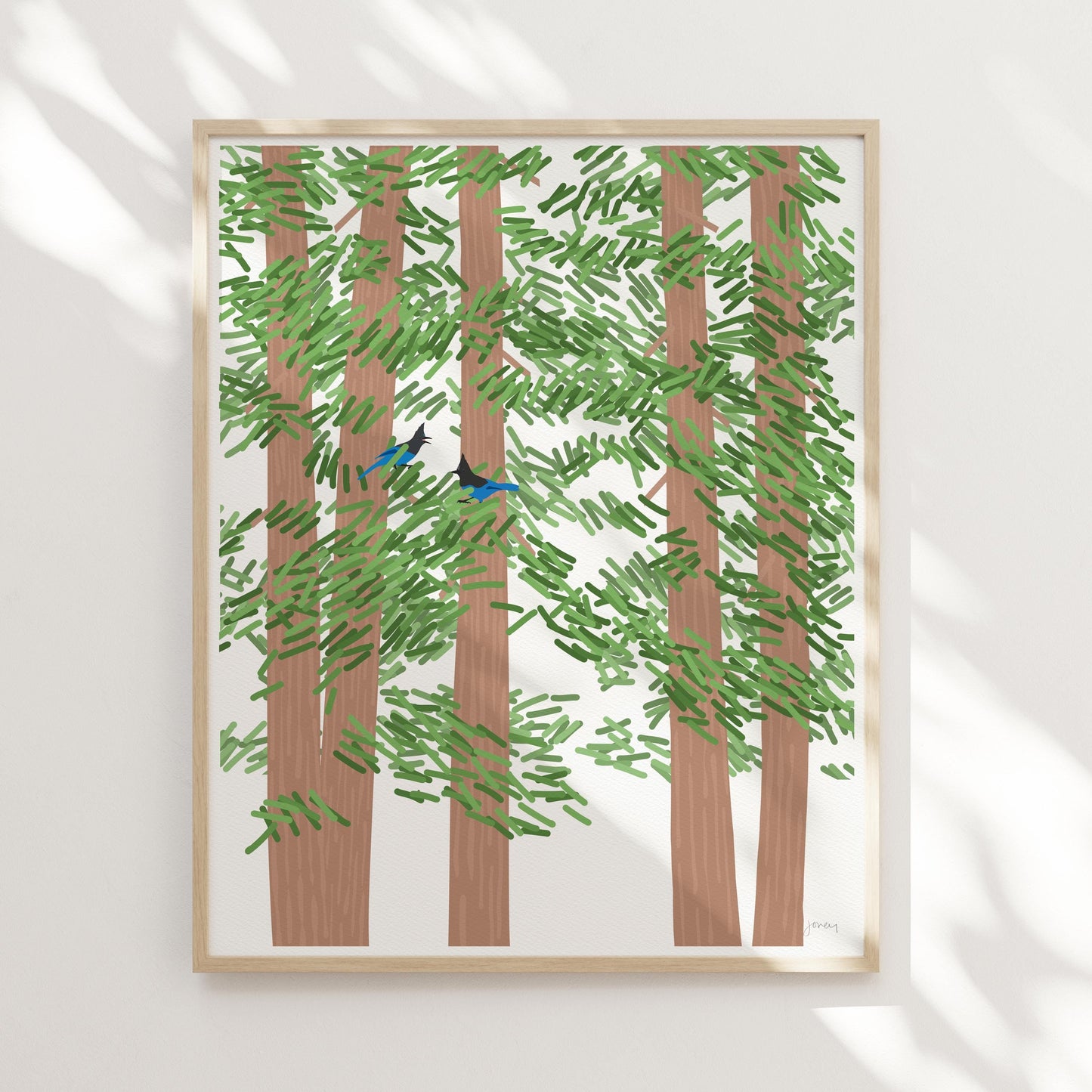 Redwood Trees with Steller's Jays - Signed - 260721