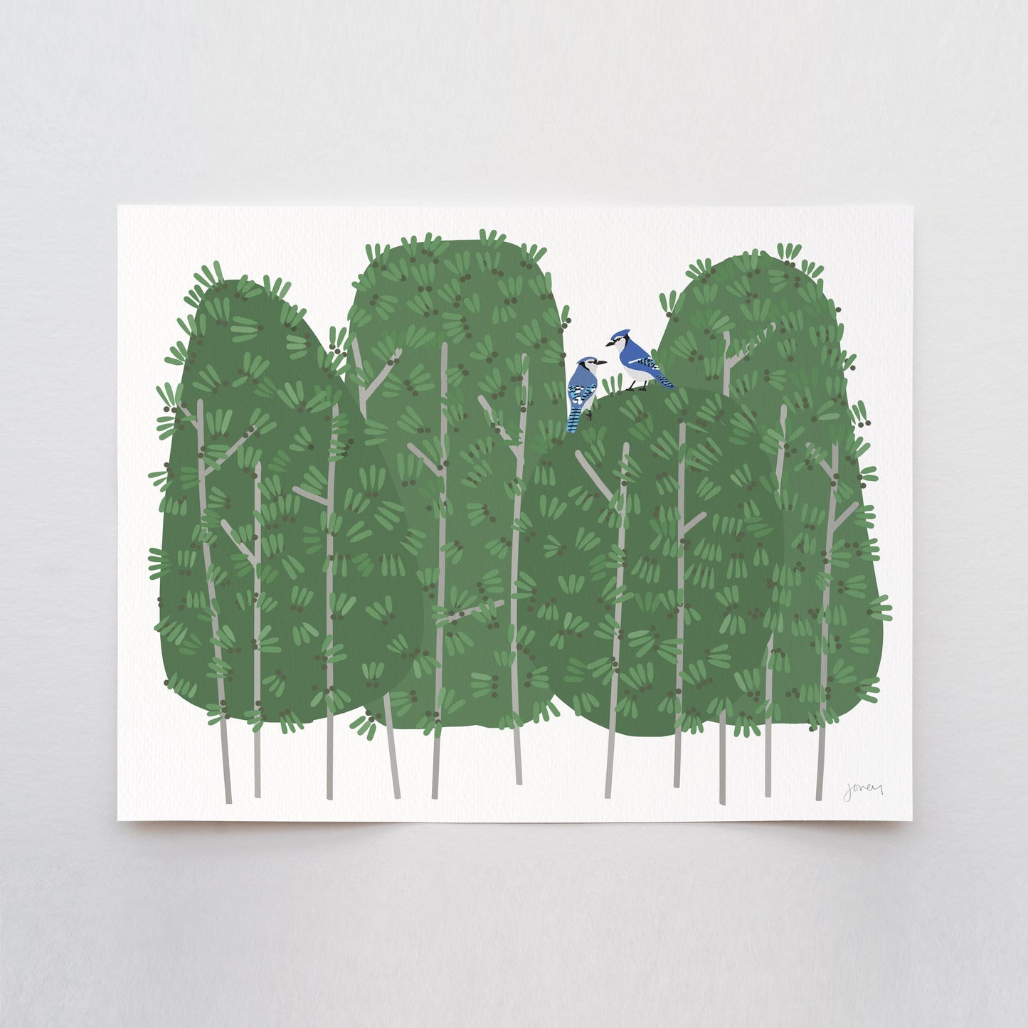Garden Blue Jays Art Print - Unframed or Framed - 250420
